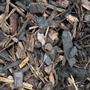 Standard Bark Nuggets