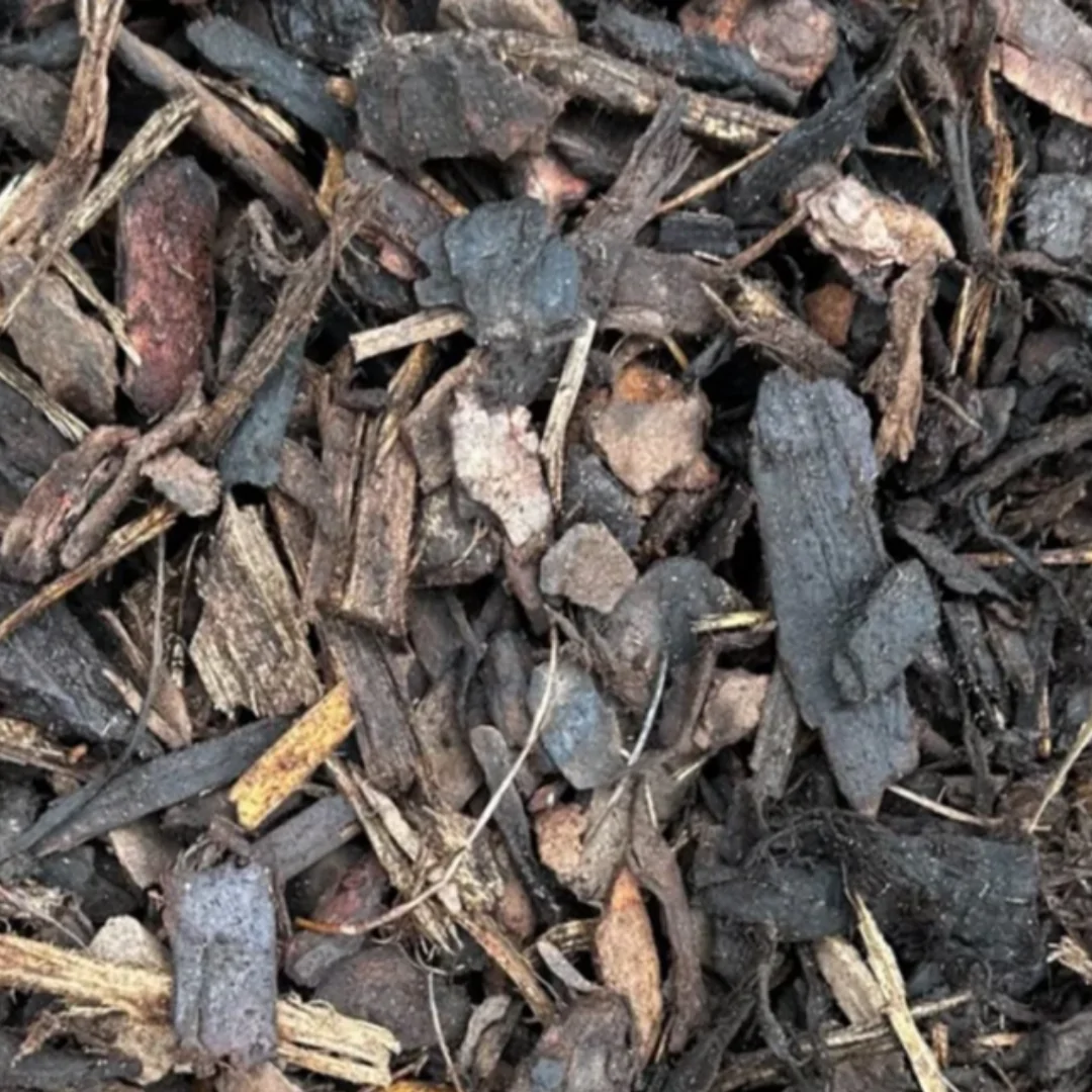 Standard Bark Nuggets