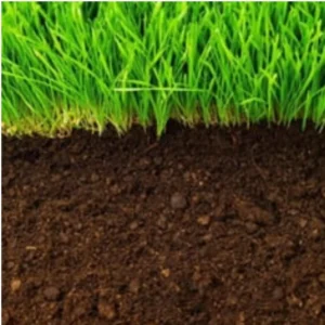 Lawn Construction Mix