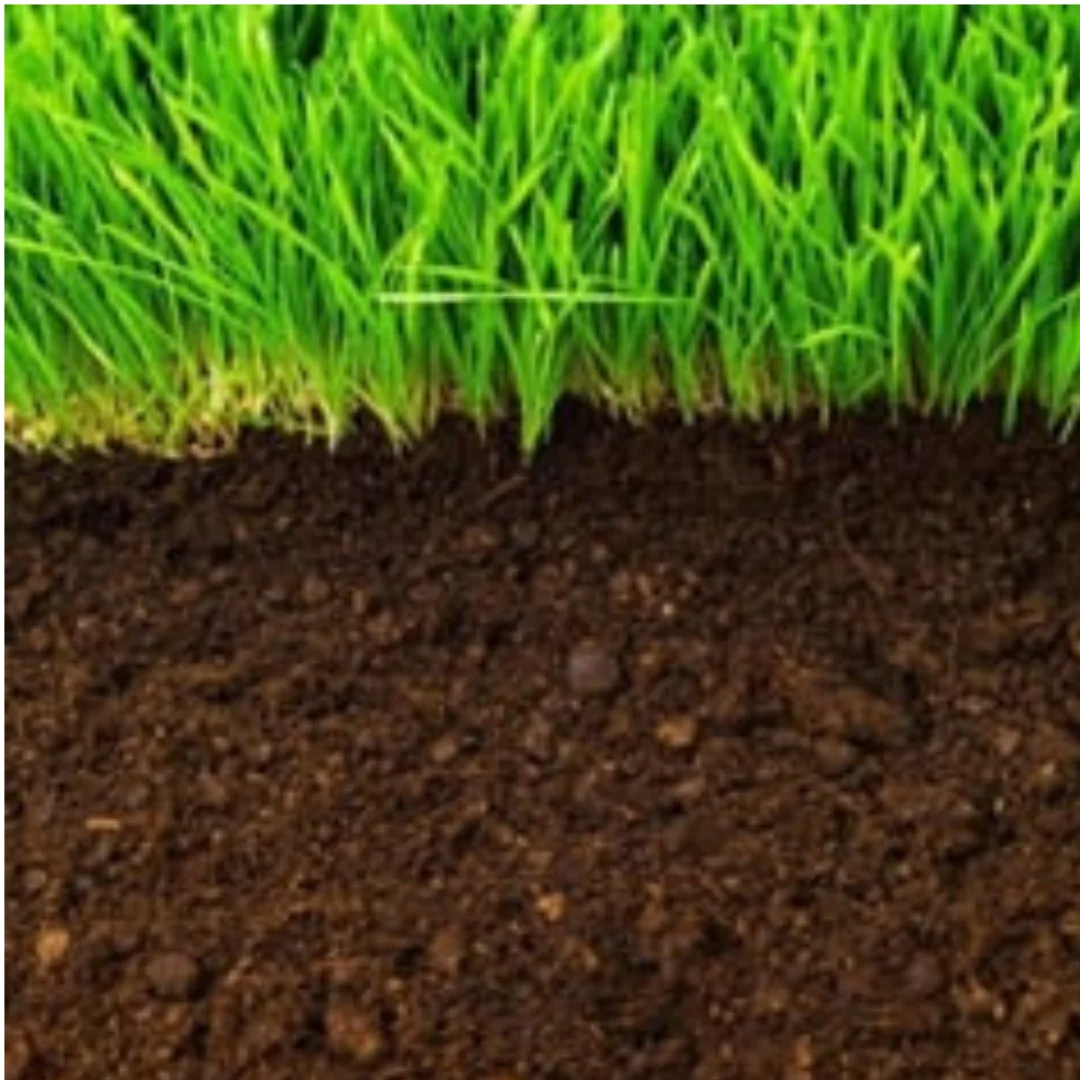 Lawn Construction Mix